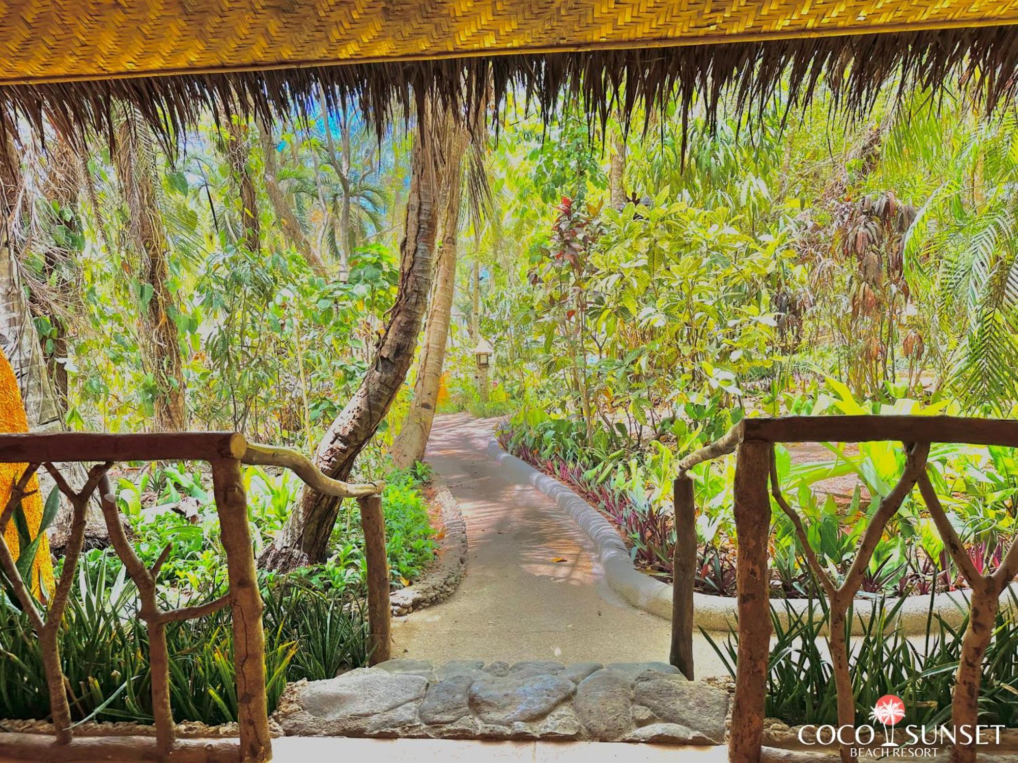 Coco Grove Beach Resort, Siquijor Island Room photo